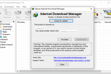 Internet Download Manager (IDM) 6.38 Build 25 for Windows | File Download