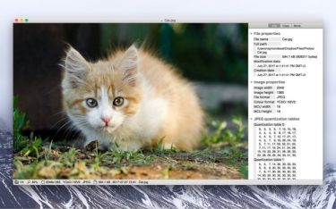 Xee v3.5.4 for Mac | Torrent Download