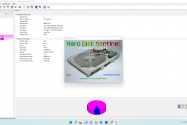 Hard Disk Sentinel Pro 6.01 Final for Windows